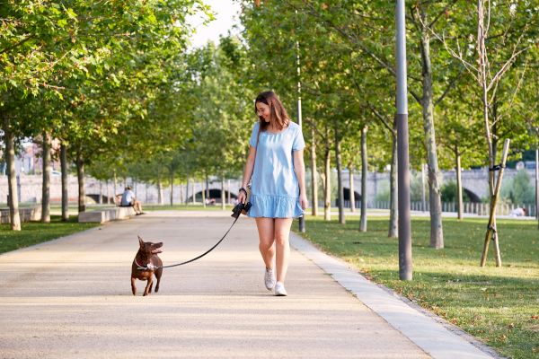 A woman in a blue dress walks a small brown dog on a leash along a tree-lined path in a park.