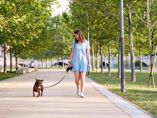 A woman in a blue dress walks a small brown dog on a leash along a tree-lined path in a park.