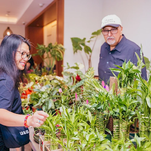 Shop Plants at Citrine Collective