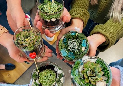 A group of people holding small glass planters with various succulents arranged together, all showing off the green rosettes.