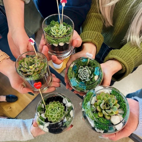 A group of people holding small glass planters with various succulents arranged together, all showing off the green rosettes.