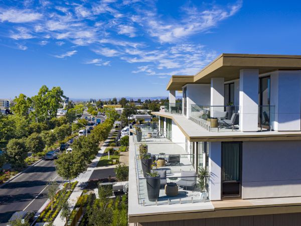 Sunlit modern building balcony with potted plants overlooking a tree-lined street and cityscape under a blue sky.